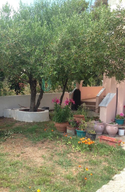 Villa Zenap Agios Georgios  Esterno foto